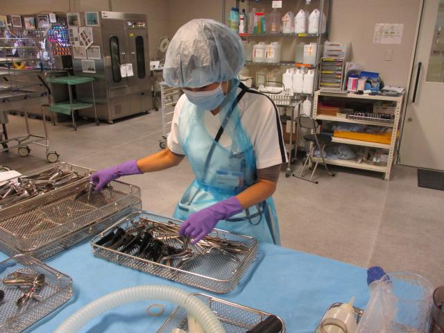 大阪大学医学部付属病院の器材洗浄（ID：38749）の求人画像１
